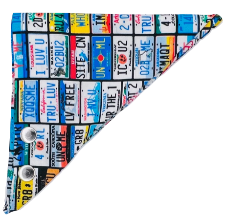 Vintage License Plate Puppy Bandanna