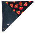 Superhero Chic Puppy Bandanna