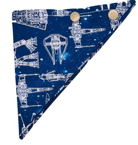 Space Adventure Dog Bandanna