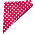 Polka Dot Puppy Bandanna